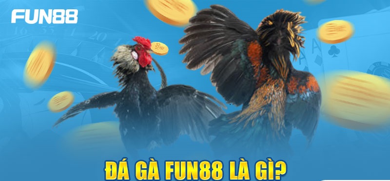 Đá gà trực tuyến trên Fun88- Chơi là mê