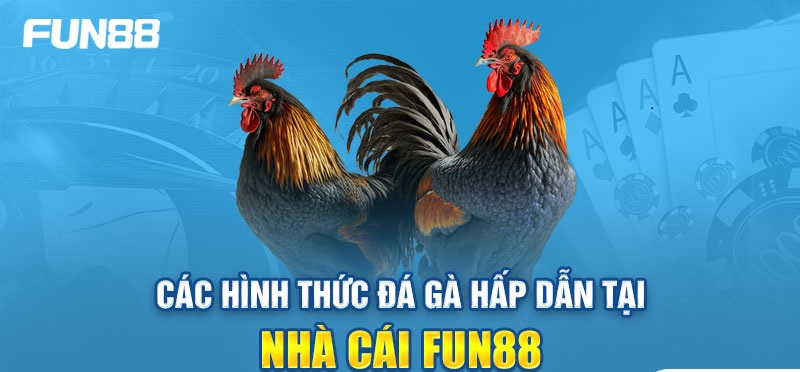 Những trận cầu đỉnh cao trên đá gà Fun88