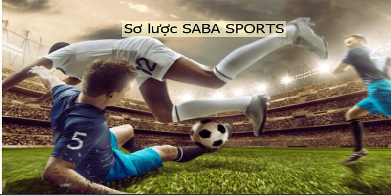 Tham gia cá cược tại sảnh Saba Sports